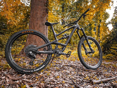 Large Yt Capra Core 2, Freshly serviced, For all riding levels, 29