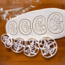 Set: Fetal Development Cookie Cutters - pregnancy baby pregnant obstetrics fetus