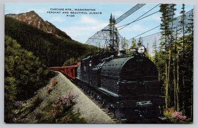Engine #10294 Glides Through the Cascade Mts Washington UNP Postcard