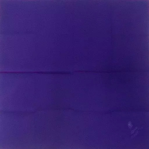 Pañuelo cuadrado de dos bolsillos negro Atsushi Murasakibara algodón 41 cm usado