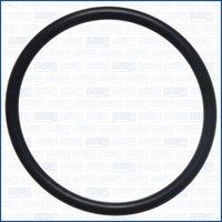 Dichtung AnsaugkrüMmer Ajusa 16031700 FüR CitroËN Peugeot XM 605 6B Y4 Break Y3