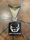 EARLY Pit Bullion 1 oz .999 Fine Hand Poured Silver Logo Hexagon Round