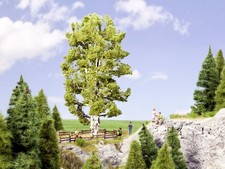 Noch 21641 Tous Échelles Double-Tronc Bouleau Arbre -- 19Cm De Haut