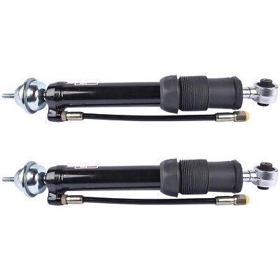 2× Hydraulic Shock Strut Rear Left & Right For Mercedes W140 S320 S500 1992-1999