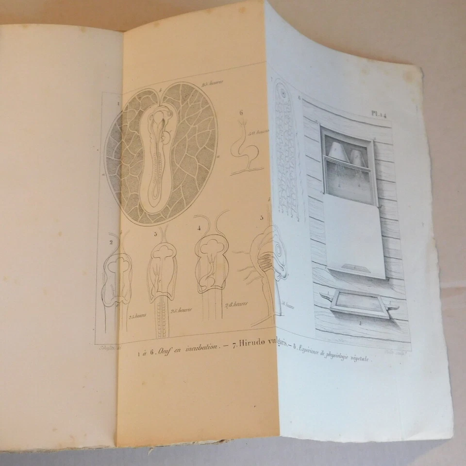 RARE 1841 1ST ED. NEILS HENRIK ABEL Abel's Theory Mathematics w/ 3 other works - Image 3 of 4