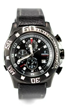 Festina Chronograph Gents Wristwatch F16289/2