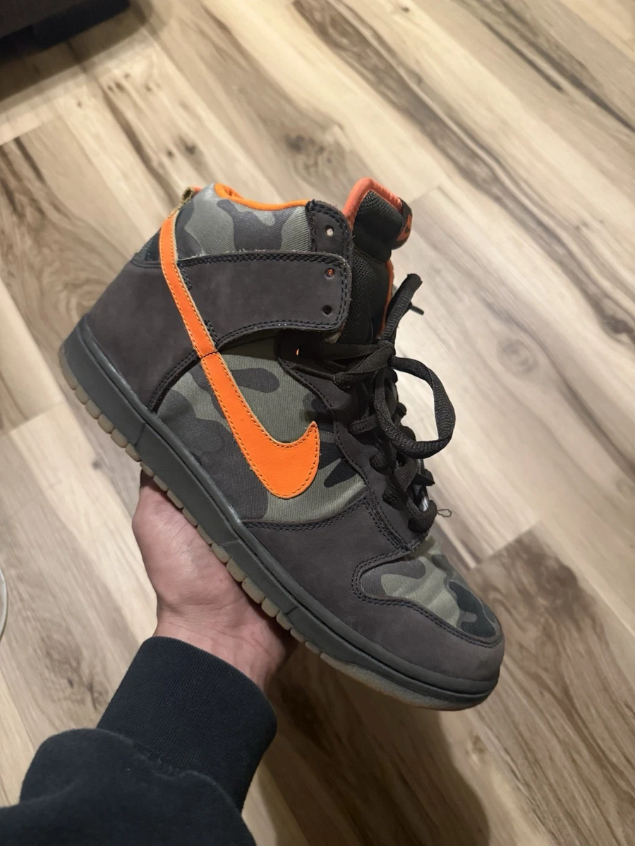 Nike Dunk Pro SB High Brian Anderson for sale | Authenticity 