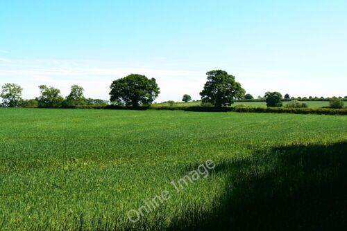 Photo 6x4 Wheat field south of Poulton Driffield\/SU0799 Lots of views li c2010 - Foto 1 di 1