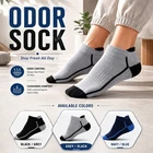 12 Pack Mens Ankle Socks Sports Cotton Rich Cushioned Everyday Work Gym Socks UK