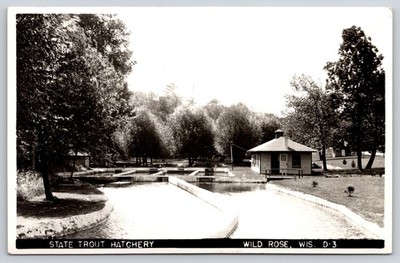 RPPC~Wild Rose Wisconsin~State Trout Hatchery~Bldg~Fish Pools~c1950 Postcard