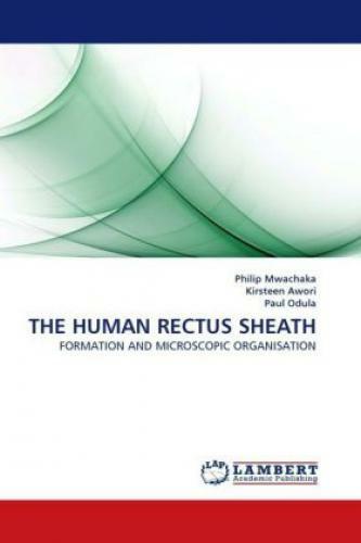 The Human Rectus Sheath Formation And Microscopic Organisation 1165