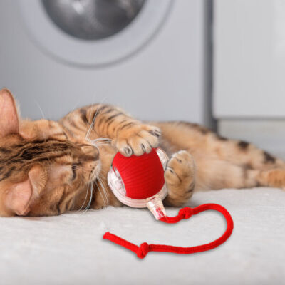 Smart Cat Ball Toys Automatic Rolling Ball Electric Cat Toy Interactive Cat Dog