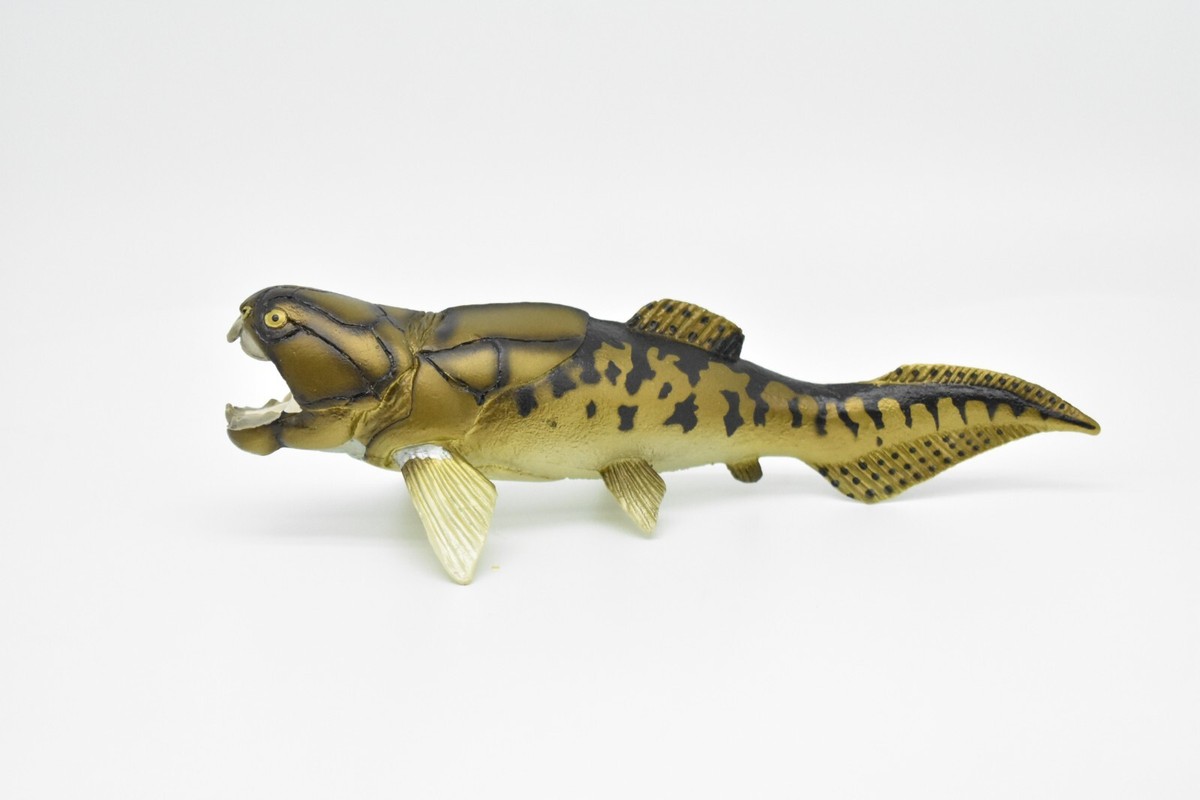 中古 back number『then』『fish』 Fish Celestial Eye goldfish Choutengan Realistic Figure ModelToy