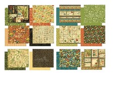 Graphic 45 Nature Sketchbook 12 Cardstock  PI...