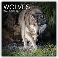 Wolves - WöLfe 2027 - 16-Monatskalender | Gifted Stationery Co. Ltd | Kalender