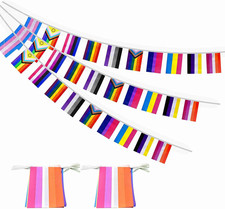 2 Set All Pride Rainbow Gay Flags Banner String Bunting LGBTQ Decoration,64 Feet