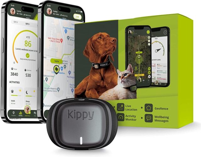 Kippy GPS per evitare la dispersione degli animali domestici cani e gatti