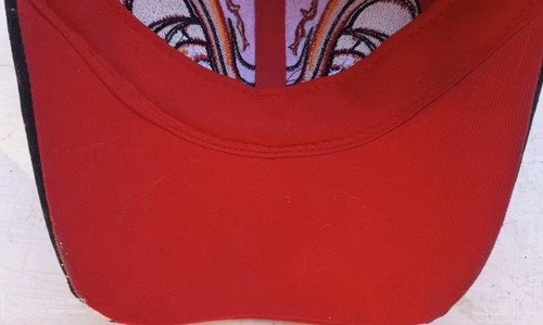 Monster Jam El Toro Loco Gorra Toro Llama Cuernos Correa Bordada - Imagen 10 de 16