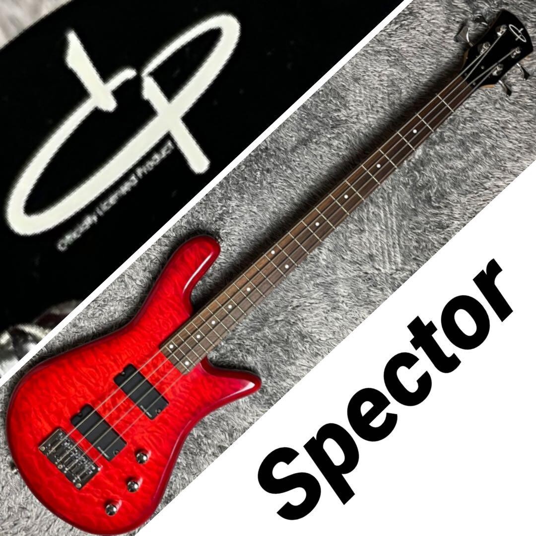 Olp Spector 4-String Bass from JAPAN | eBay
