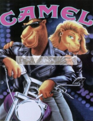 Camel Cigarette Tobacco Advertisment Joe Camel Photograph Print Photo  8.5x11