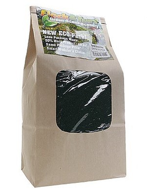 Scenic-Expr Famp;T Forest Grn Fine  48oz - #815e