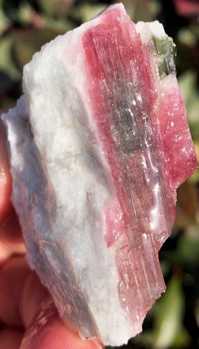 42g Natürliche Wassermelone Farbe Turmalin Kristall Eis Transparent Präparat ie1972 - Bild 8 von 12