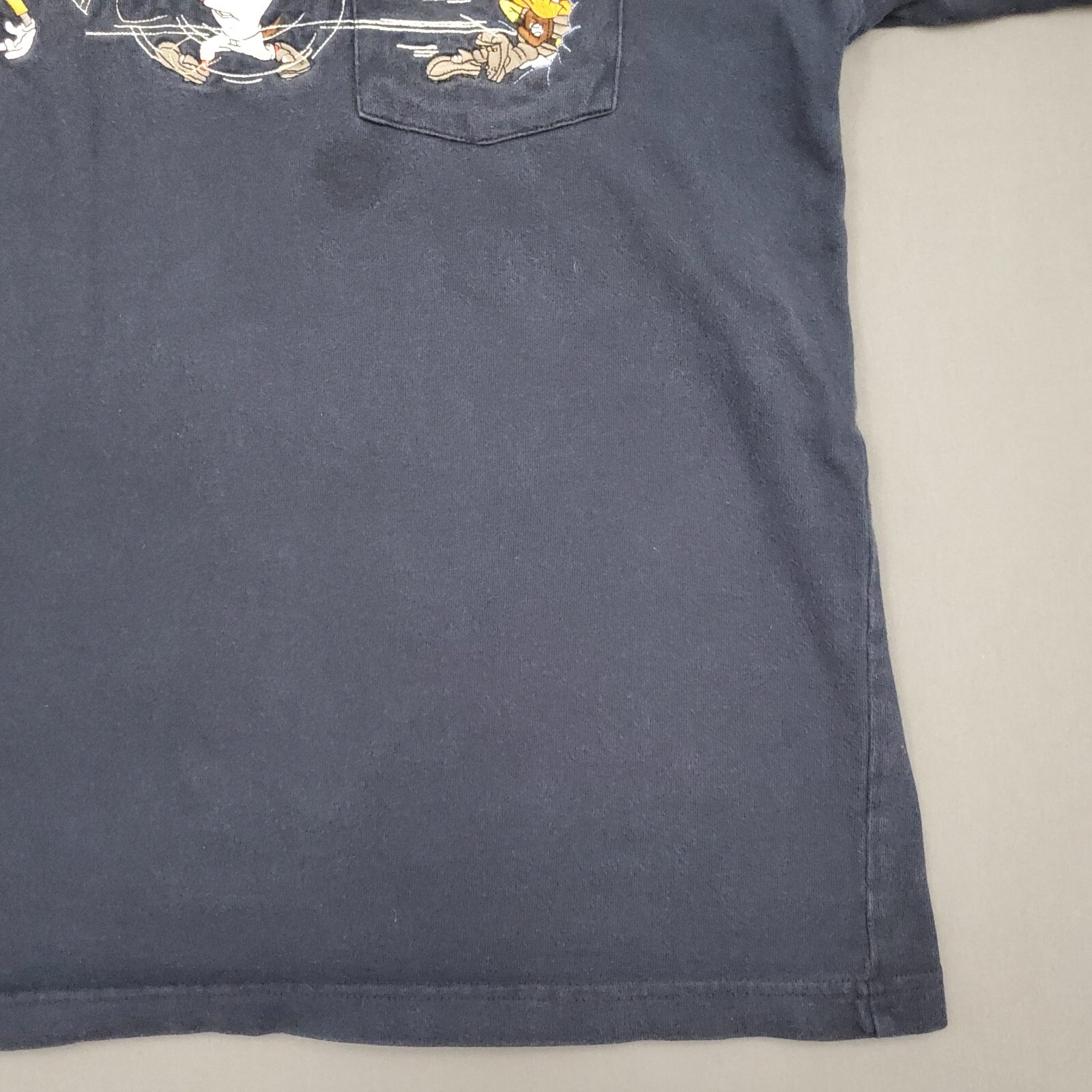Picture 4 of 15