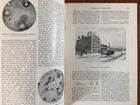 Foto 10 di 10