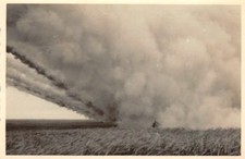 Utilizzo di lanciarazzi tedeschi presso Kursk Russia fronte orientale
