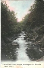 CPA Carte postale Belgique Sart lez Spa La Hoëgne vue du Pont du Renard 1907 VM