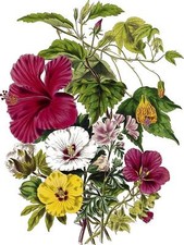 Flowers by E. Twining Color Bouquet Leaves Tile Mural Kitchen Backsplash Ceramic