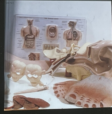 Claes Oldenburg  mouse Museum Inventory '' Pop Art 35mm Art Slide