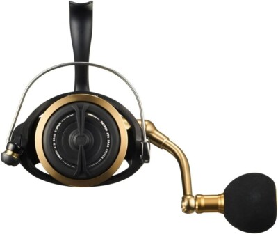 DAIWA Spinning Reel 23BG SW 6000D-H (2023 model) | eBay