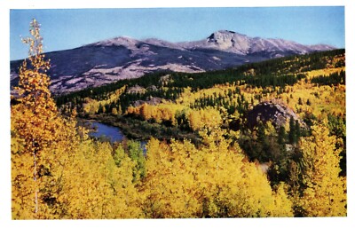 The Miette Valley with Yellow trees with Mt. Signal and Mt. Tekarra 