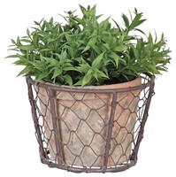 8Cm Hoch Aged Terracotta Korb Blumentopf ÜBertopf Umtopf Rund Drahtkorb Garten