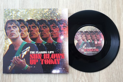 The Flaming Lips The Terror 2xLP + 7" 2013 EU Pressing Shrink w/ Hype Sticker - Imagen 12 de 13