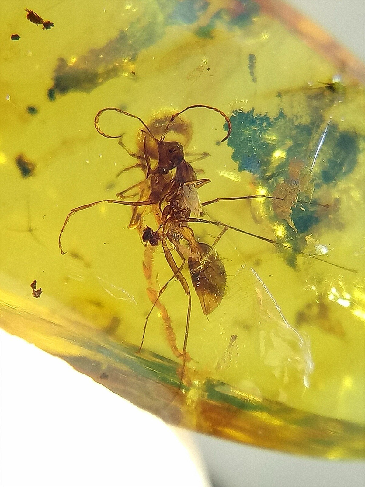 Picture 4 of 7