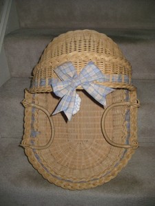 bitty baby moses basket