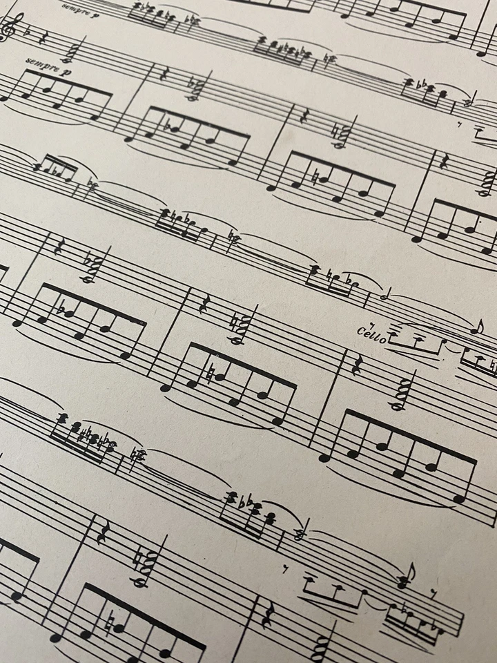 A SONG OF INDIA SHEET MUSIC~Trumpet/Piano~Sadko~Student Series~Rimsky-Korsakov - Image 3 of 4