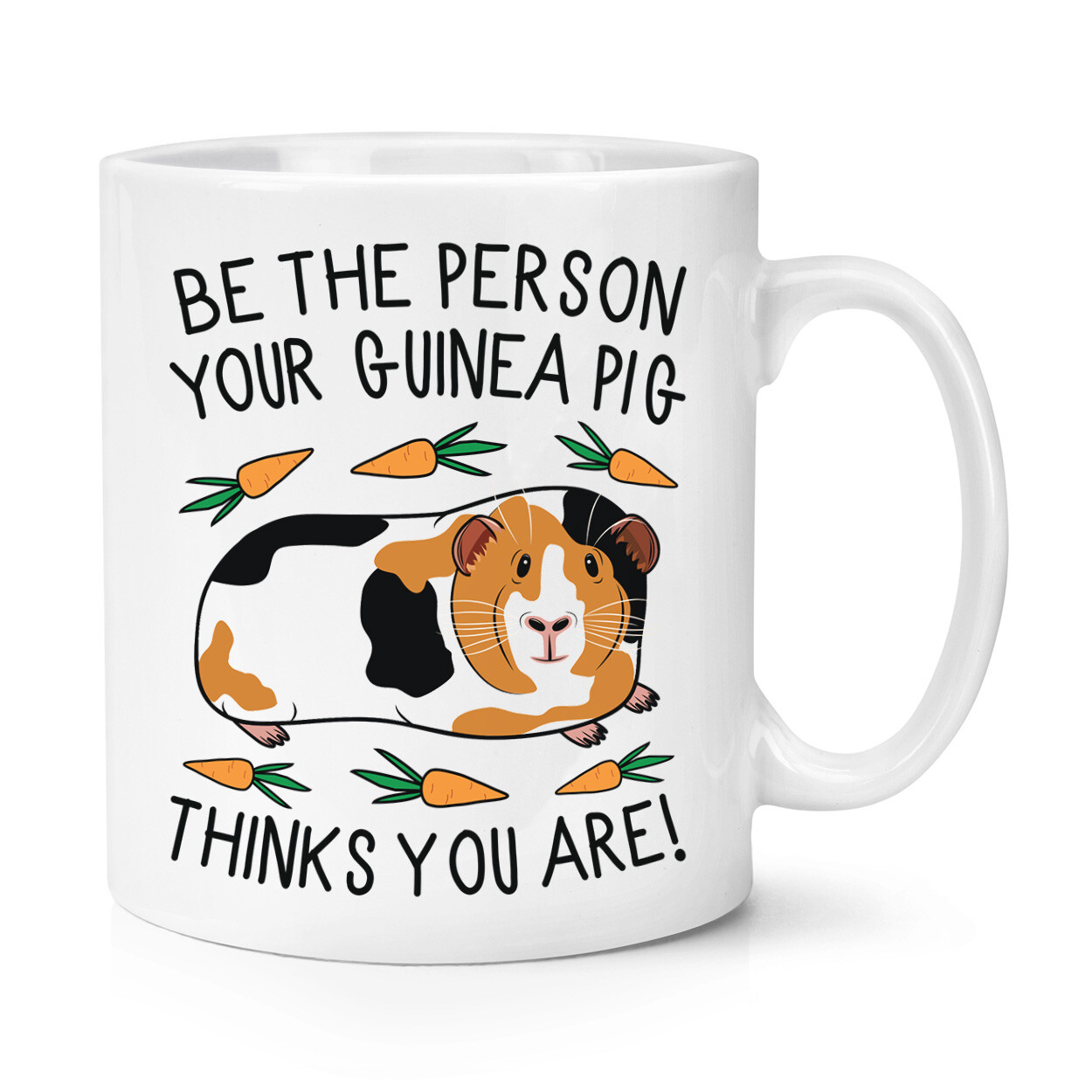 Be The Person Your Guinea Pig Thinks You Are 10oz Mug Cup Crazy Lady Man Funny