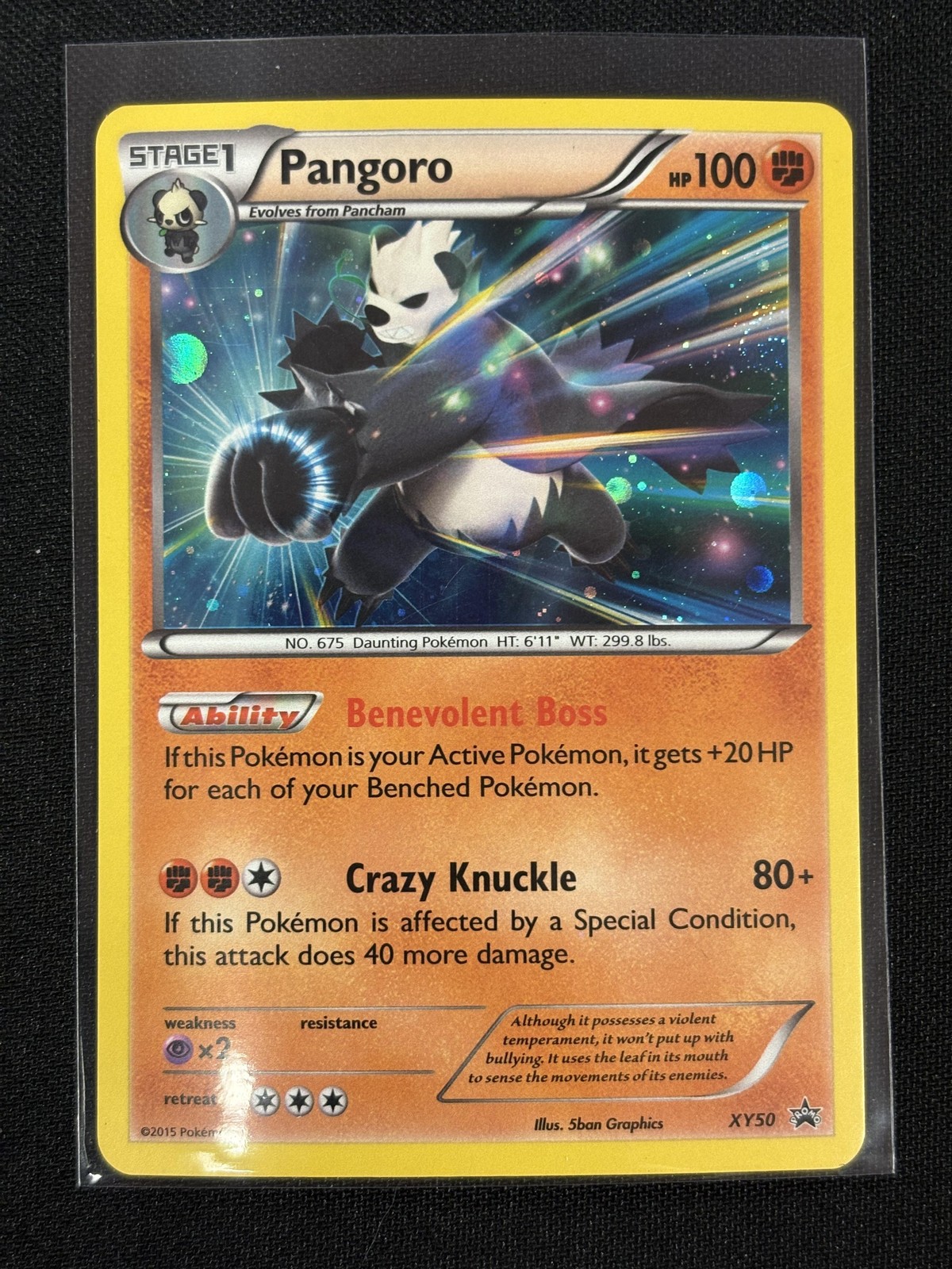 Pangoro XY50 Holo XY Promos Pokémon Card