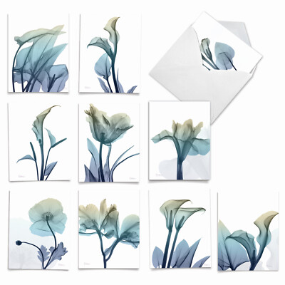 10 Blank All Occasion Cards Assorted - Blooming Expressions AM6221OCB-B1x10