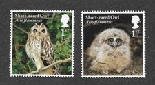 OWLS SHORT EARED OWL BIRDS OF PREY RAPTORS MNH GREAT BRITAIN 2 X 1ST CLASS 2018
