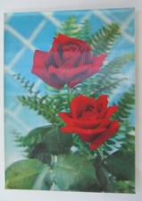 ~1970 Rose Roses Flowers 3D Postcard Postcard (Plants & Botany Theme Card)