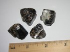 4 NATURAL ROUGH 0.8" DRAVITE BROWN TOURMALINE CRYSTALS INDIA ~ 42.2grams *1 (GG) — photo 6
