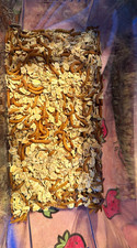 Live mealworms 500 Guaranteed Live