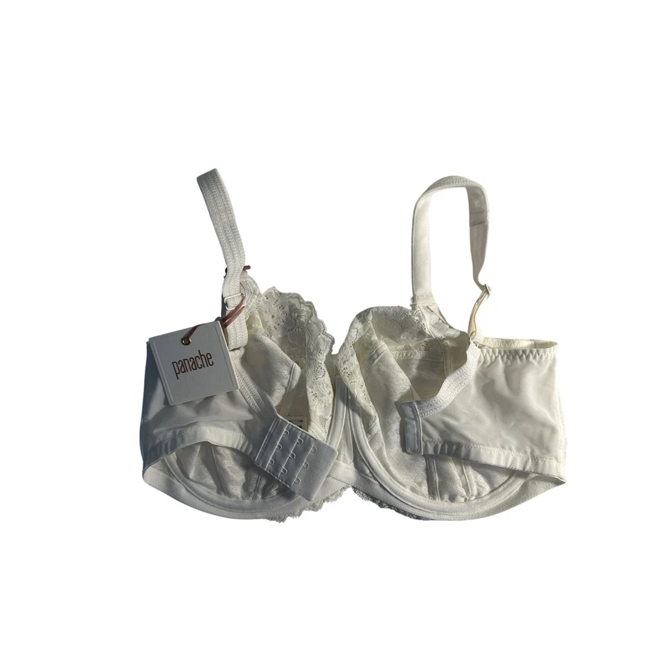 Sujetador Panache Envy Copa Completa Talla 34H Marfil Encaje Borde Soporte con Aros NUEVO Foto 2 de 4