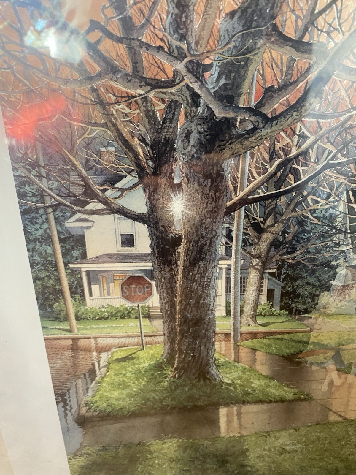 Picture 3 of 16