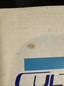 Flying Dragon: The Secret Scroll NES Nintendo Manual Only - RARE RED BOX VARIANT