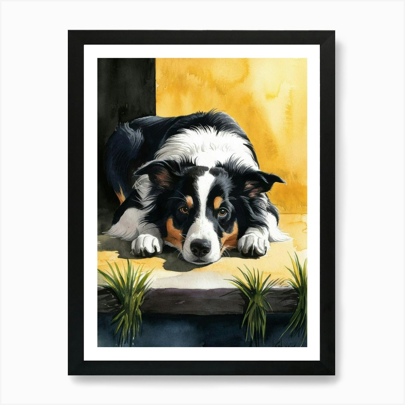 Border Collie Art Print Framed Wall Art Poster Canvas Print Picture